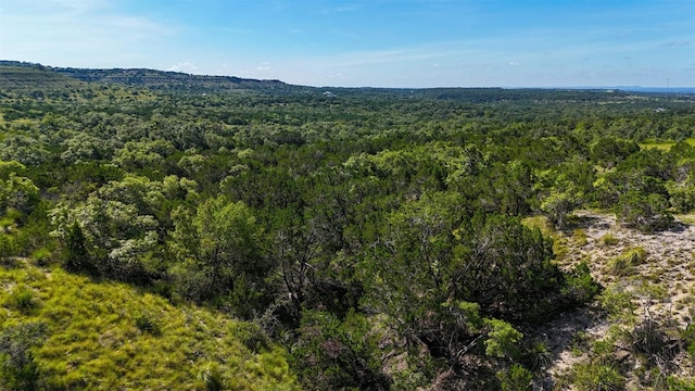 1215 Montell Rd, Wimberley, TX 78676 - photo 11