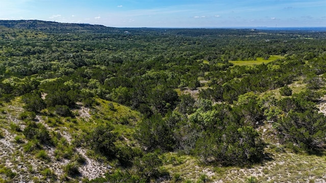 1215 Montell Rd, Wimberley, TX 78676 - photo 13