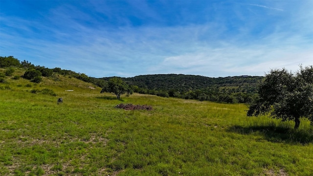 1215 Montell Rd, Wimberley, TX 78676 - photo 18