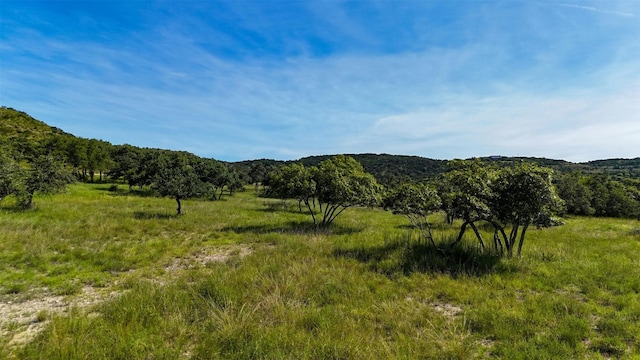 1215 Montell Rd, Wimberley, TX 78676 - photo 19