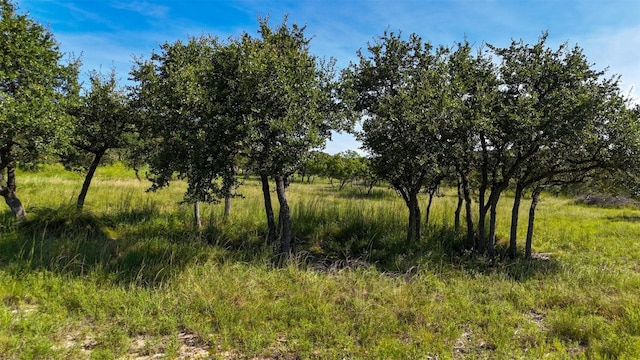 1215 Montell Rd, Wimberley, TX 78676 - photo 20