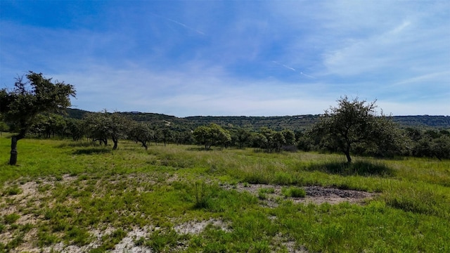 1215 Montell Rd, Wimberley, TX 78676 - photo 21