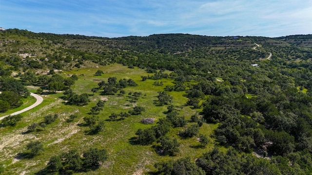 1215 Montell Rd, Wimberley, TX 78676 - photo 22
