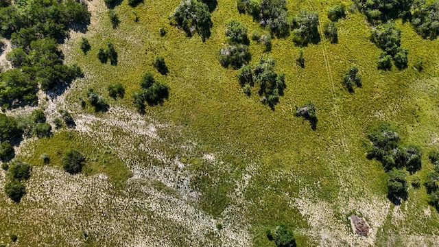 1215 Montell Rd, Wimberley, TX 78676 - photo 24