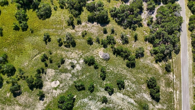 1215 Montell Rd, Wimberley, TX 78676 - photo 25