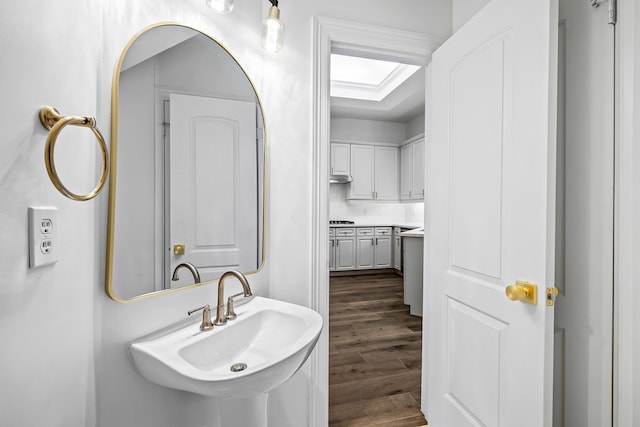 bathroom featuring sink and wood-type flooring