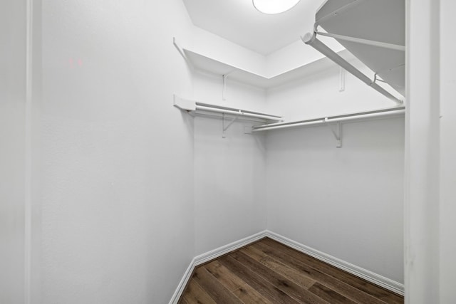 spacious closet featuring hardwood / wood-style flooring