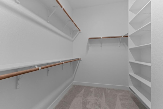 walk in closet featuring light colored carpet