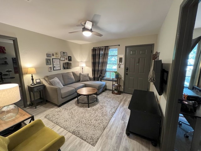 living room with ceiling fan and light wood-type flooring