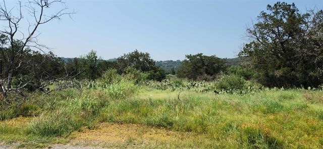 Listing photo 2 for TBD Easy St, Burnet TX 78611