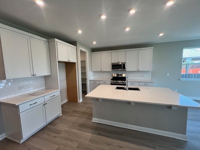 kitchen featuring wood-type flooring, sink, and a center island with sink