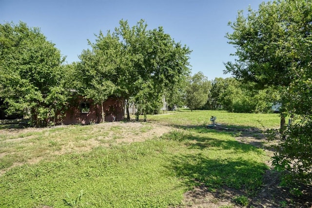 128 Gonzales St, Paige, TX 78659 - view of yard