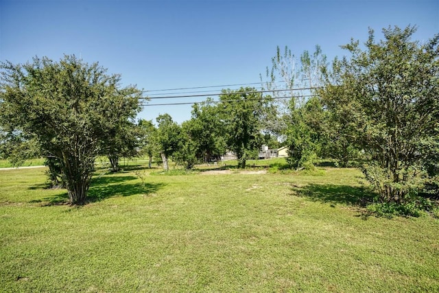 128 Gonzales St, Paige, TX 78659 - view of yard