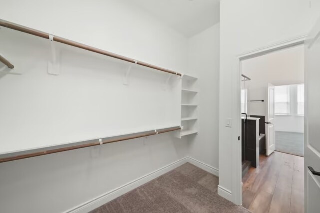 walk in closet featuring light carpet