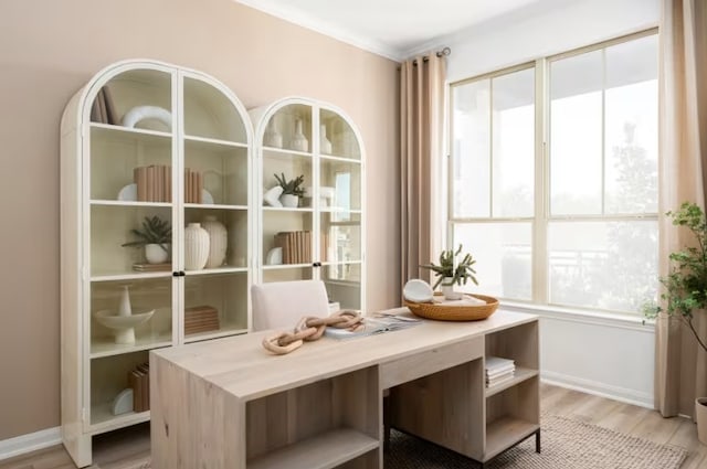 interior space featuring a healthy amount of sunlight, light hardwood / wood-style floors, and ornamental molding