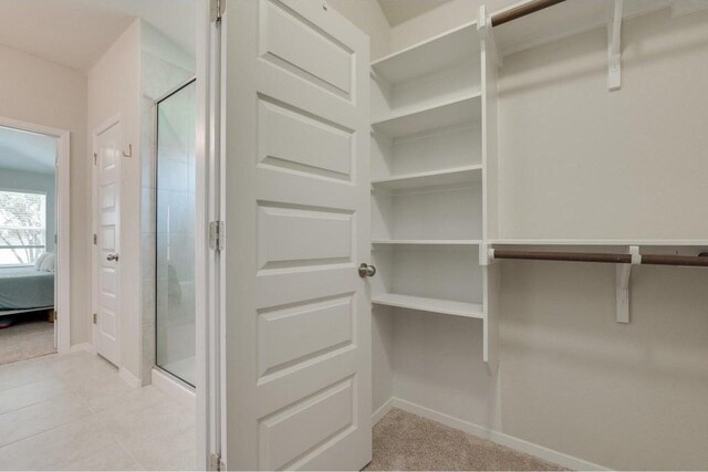 walk in closet with light carpet