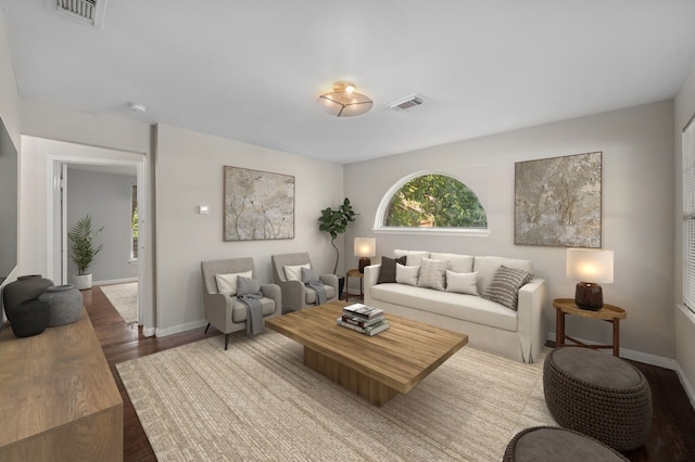 living room featuring hardwood / wood-style floors