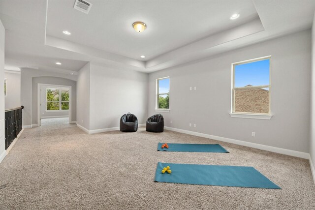 exercise room with carpet, a tray ceiling, and a wealth of natural light