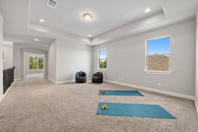 workout room featuring plenty of natural light, a raised ceiling, and carpet flooring