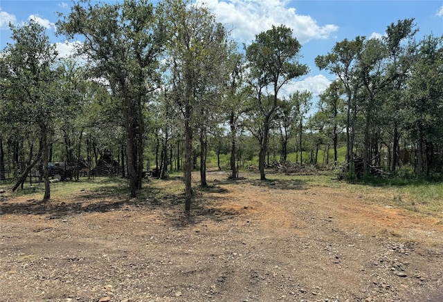 view of local wilderness