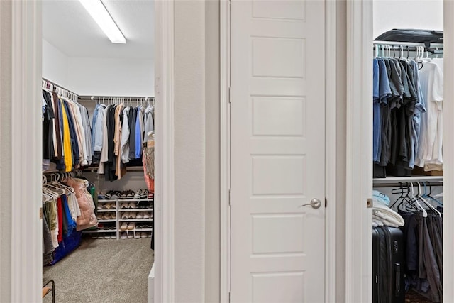 walk in closet featuring carpet