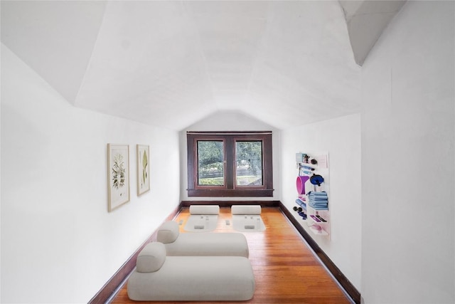 additional living space with lofted ceiling and baseboards