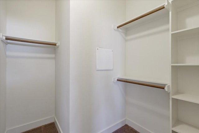 spacious closet featuring carpet floors