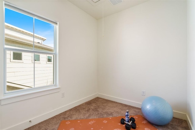 workout area with carpet flooring