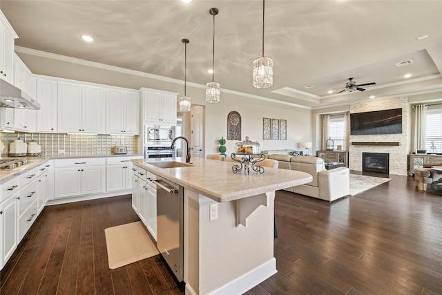 kitchen with a fireplace, dark hardwood / wood-style flooring, appliances with stainless steel finishes, and a tray ceiling