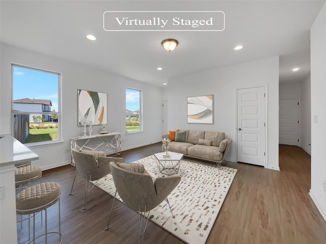 living room with hardwood / wood-style floors