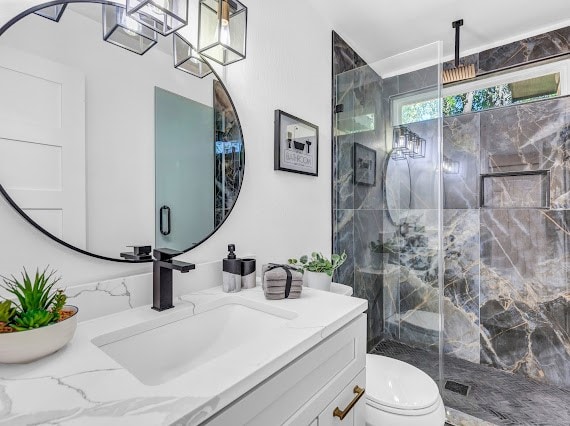 bathroom with vanity, a shower with shower door, and toilet