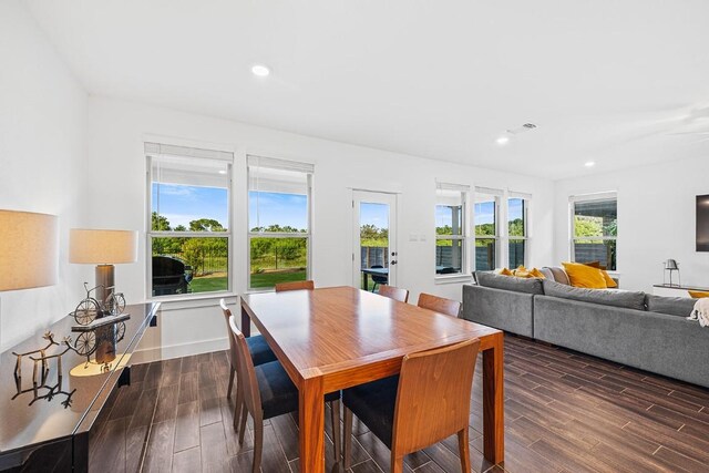 dining space featuring a wealth of natural light and dark hardwood / wood-style flooring