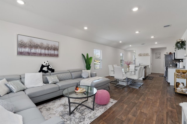 living room featuring sink and wood-type flooring