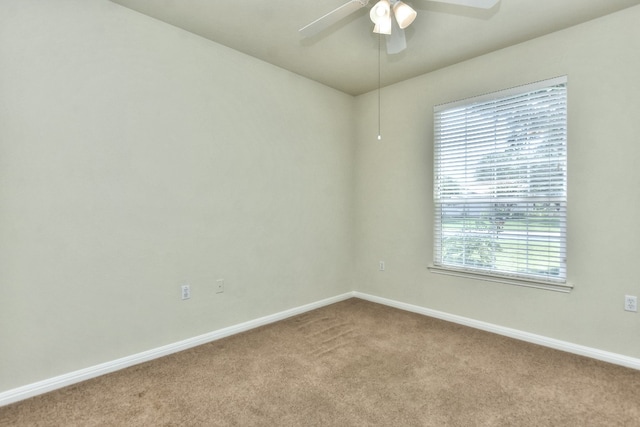 spare room featuring ceiling fan and carpet floors