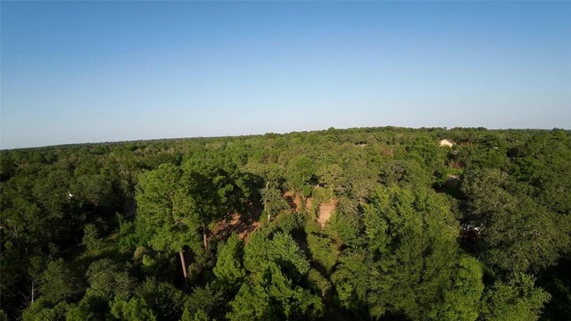 Listing photo 3 for TBD Houston Court, Paige TX 78659