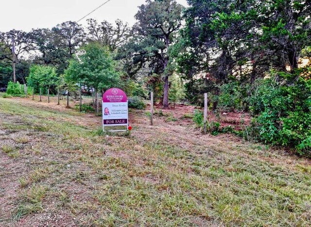 TBD Houston Court, Paige TX, 78659 land for sale