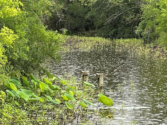 653 Leisure Ln, Cedar Creek, TX 78612 - water view