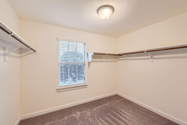 spacious closet with carpet floors