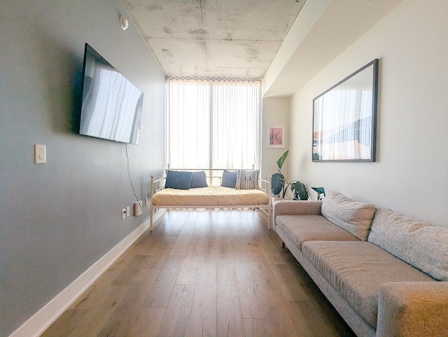 living room featuring wood-type flooring