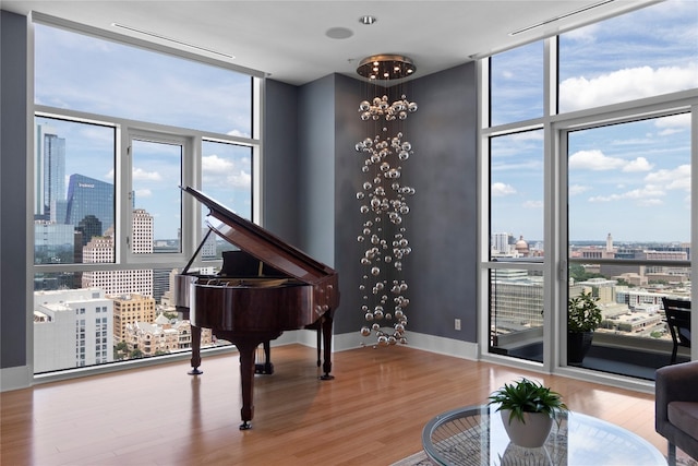 miscellaneous room with hardwood / wood-style flooring and floor to ceiling windows