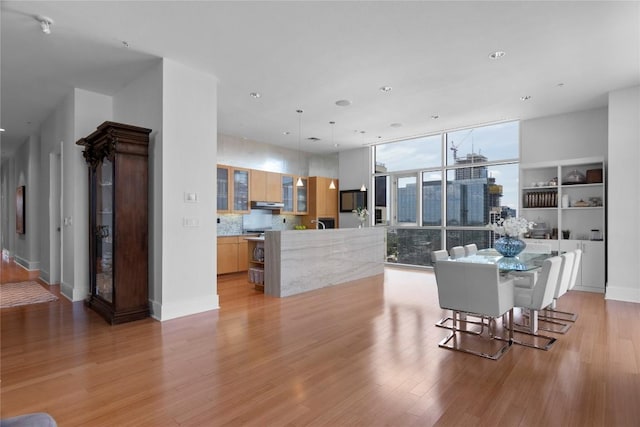 living room featuring light wood finished floors, baseboards, and a view of city