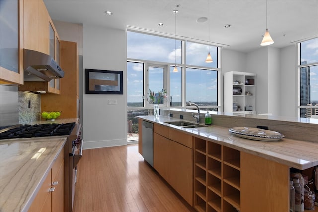 kitchen featuring exhaust hood, hanging light fixtures, light hardwood / wood-style flooring, sink, and stainless steel appliances