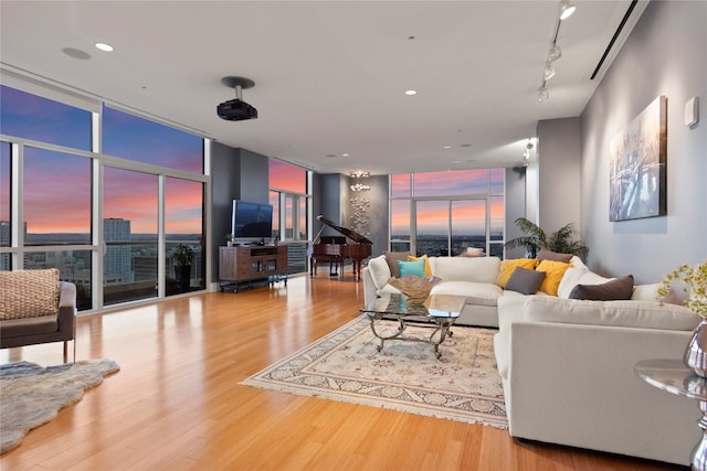 living room featuring hardwood / wood-style floors, track lighting, and expansive windows