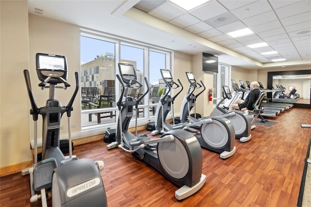 gym with a paneled ceiling and hardwood / wood-style floors