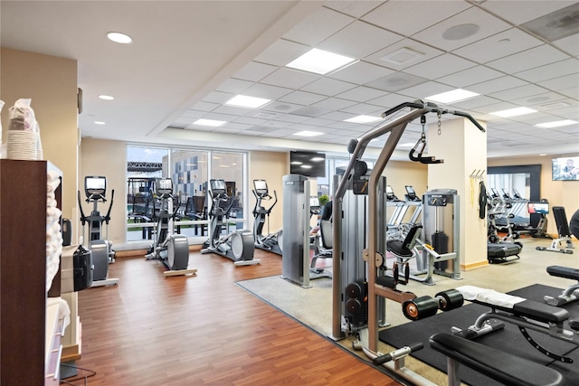 gym featuring hardwood / wood-style flooring and a drop ceiling