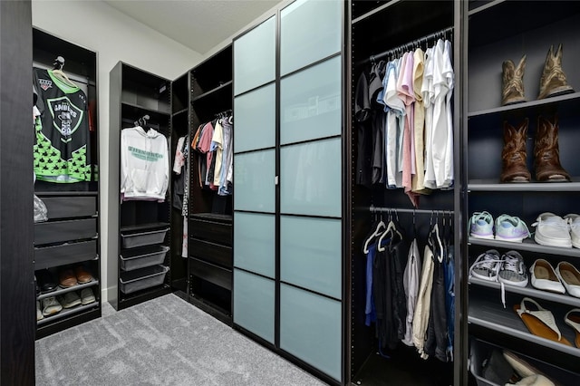 spacious closet featuring carpet floors