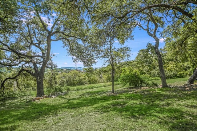 3 Hedge Ln, Austin, TX 78746 - view of nature