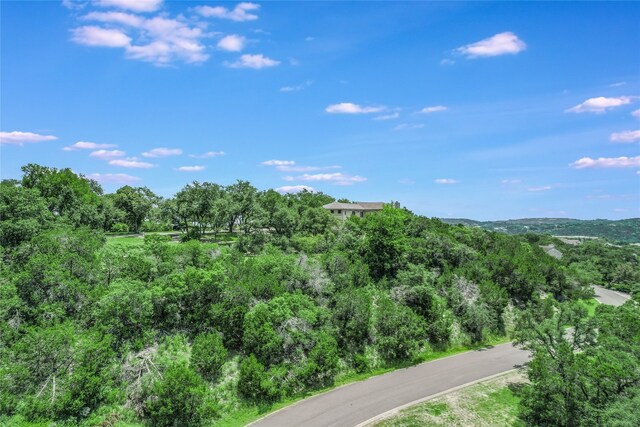 3 Hedge Ln, Austin, TX 78746 - birds eye view of property