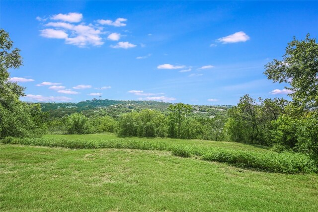 3 Hedge Ln, Austin, TX 78746 - view of local wilderness