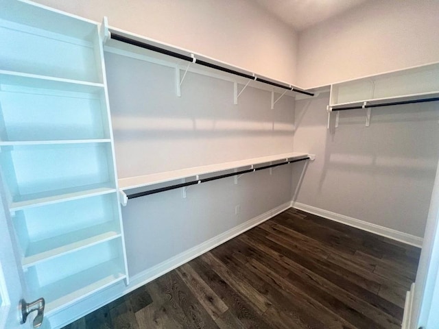 spacious closet featuring dark wood finished floors